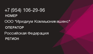9541062996